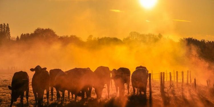 UN chief urges world leaders to drive down global warming