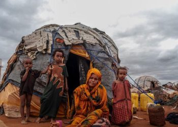 Battlefields to wastelands: UN warns conflicts are destroying ecosystems worldwide