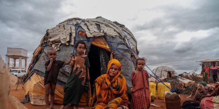 Battlefields to wastelands: UN warns conflicts are destroying ecosystems worldwide