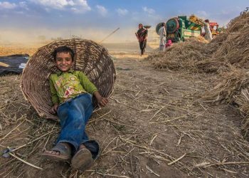 Doha Social Summit: Businesses, civil society walk side by side for fairer futures