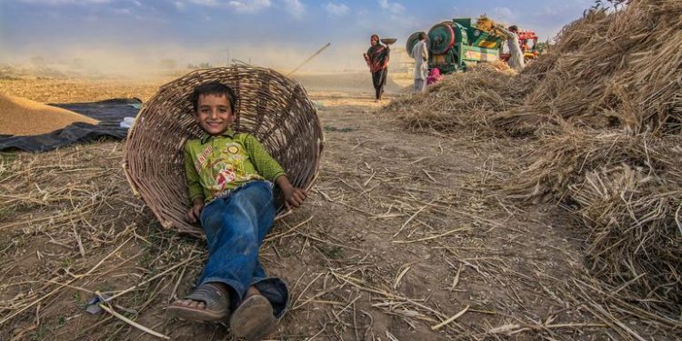 Doha Social Summit: Businesses, civil society walk side by side for fairer futures