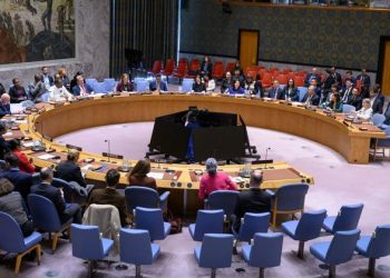 Security Council lays the ground in the race for the next Secretary-General
