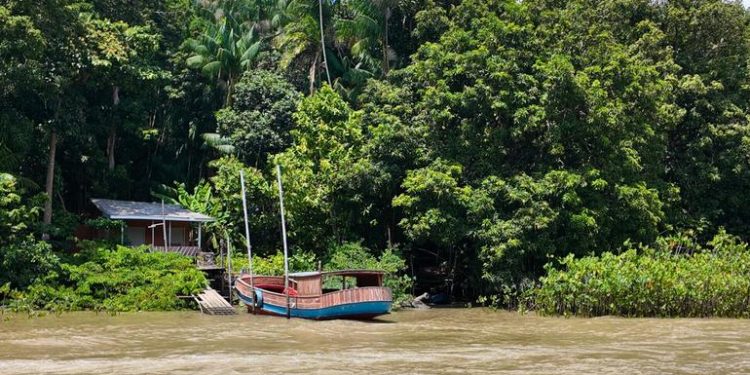 On Brazil’s Combu Island, chocolate makers hold clues to climate action