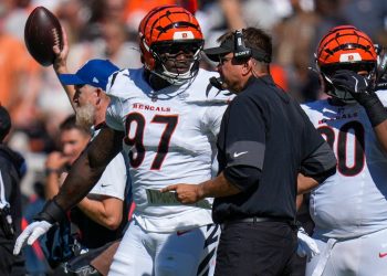 Report: Bengals DE Shemar Stewart (knee) lands on IR