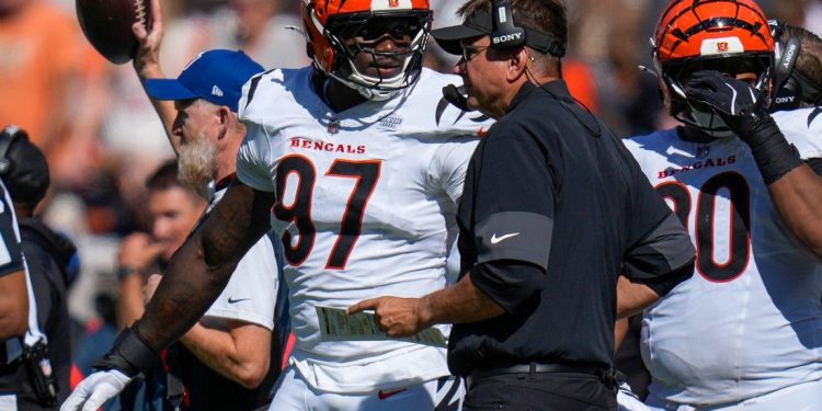 Report: Bengals DE Shemar Stewart (knee) lands on IR