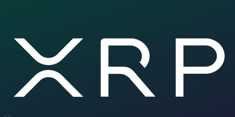 Canary’s XRP Spot ETF Racks Up $26M Volume In 30 Minutes, Has “Good Shot” Of Record-Breaking Debut ⋆ ZyCrypto