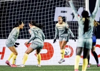 Ottawa announces plans to help fledgling NSL grow