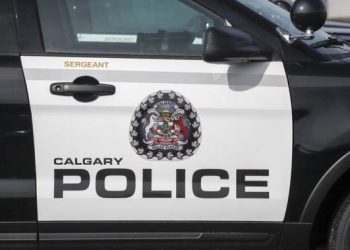 Calgary police use air support to help catch carjacking suspect – Calgary