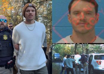 What happened to WhistlinDiesel? Exploring why YouTuber got arrested