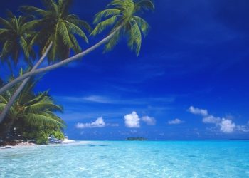 Trump family and Saudi partner unveil tokenised Maldives resort