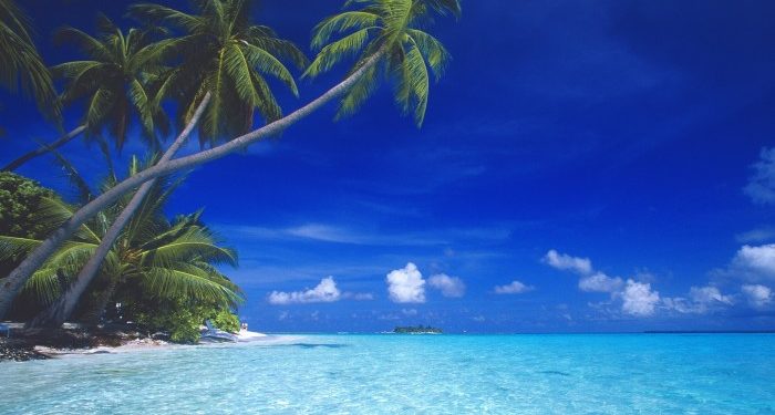 Trump family and Saudi partner unveil tokenised Maldives resort