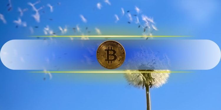 Bitcoin (BTC) Crash Is ‘Breezy’ Compared to 2022 Carnage, Claims Dragonfly’s Qureshi