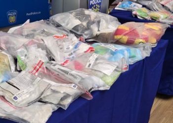 ‘A win for public safety’: Police seize $1M worth of illicit drugs in Ontario