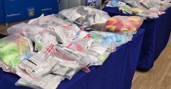 ‘A win for public safety’: Police seize $1M worth of illicit drugs in Ontario