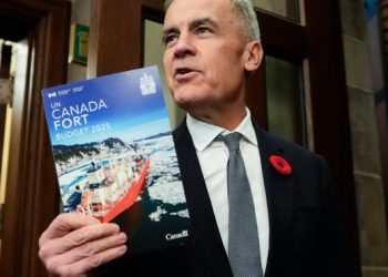 Carney has ‘limited room to cut taxes’ as debt-to-GDP ratio to grow: PBO – National