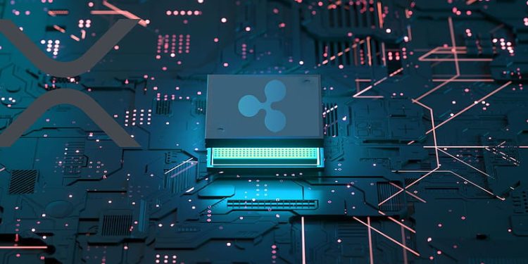 Ripple Exec Addresses Tax Issue On XRP Ledger, Where Does It Go?