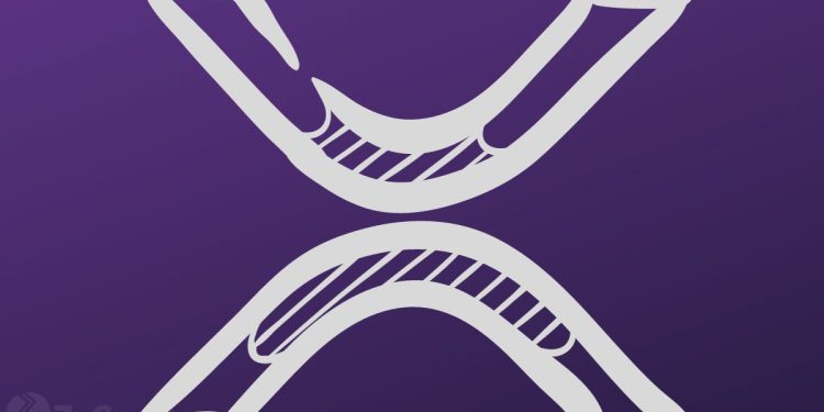 Canary’s XRP ETF Outperforms All 2025 Launches With $58 Million In Day-One Trading Volume ⋆ ZyCrypto