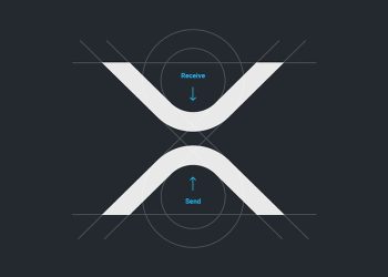 XRP Custody Companies A Risk? Pundit Shares Why Companies Shouldn’t Hold The Coins