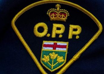 Pilot dead after two small planes collide in Ontario: OPP