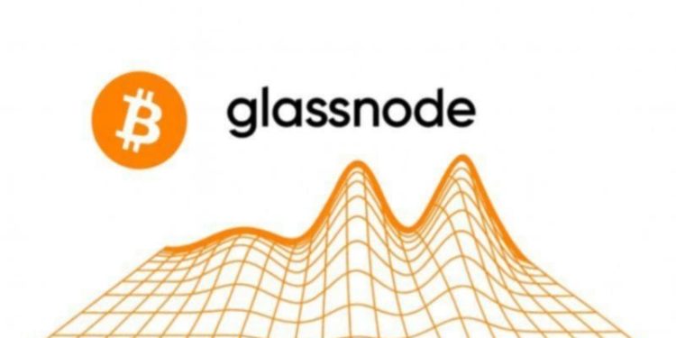 Bitcoin profit declines amid stabilization of altcoin profits: Glassnode