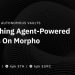kpk’s Agent-Powered Vaults go Live on Morpho