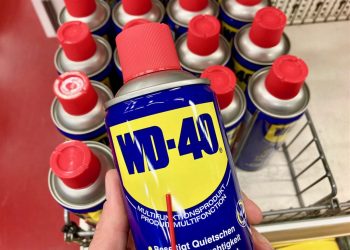 Does Insider Buying Signal Value in the WD-40 Company?