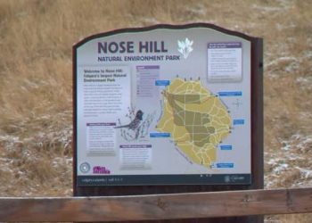 Human remains found in northwest Calgary park