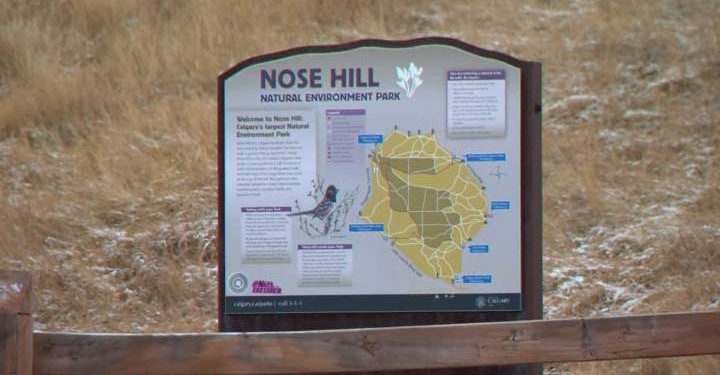 Human remains found in northwest Calgary park