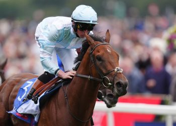 Today on Sky Sports Racing: Pride Of Arras and Royal Champion go for glory in Bahrain | Racing News