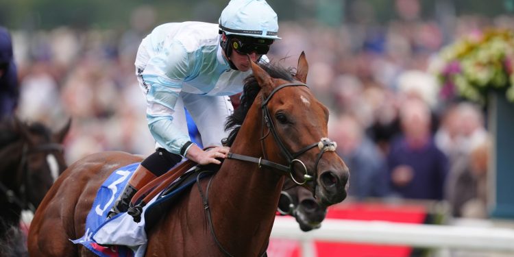 Today on Sky Sports Racing: Pride Of Arras and Royal Champion go for glory in Bahrain | Racing News