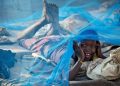 Malaria: Drug resistance and underfunding threaten progress towards eliminating killer disease