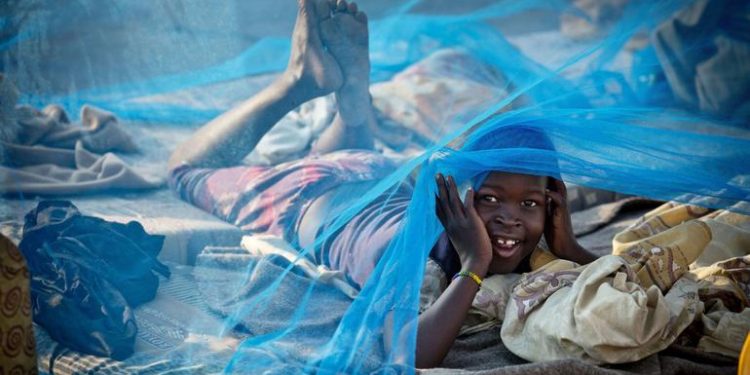 Malaria: Drug resistance and underfunding threaten progress towards eliminating killer disease