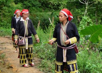 Can traditional medicine strengthen modern healthcare? An expert weighs in