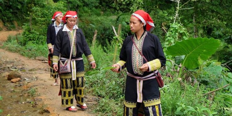 Can traditional medicine strengthen modern healthcare? An expert weighs in