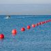 Invisible highways: The vast network of undersea cables powering our connectivity