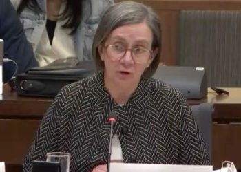 MPs to question federal budget watchdog nominee as role remains unfilled – National