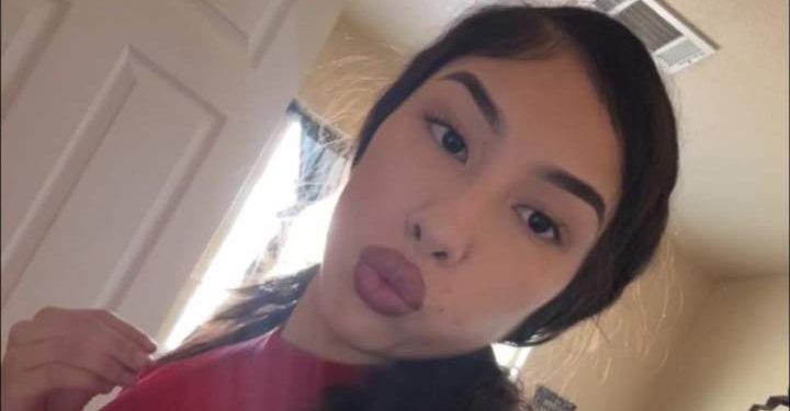 U.S. mom sentenced to 15 years after son dies in hot car while she visited spa – National