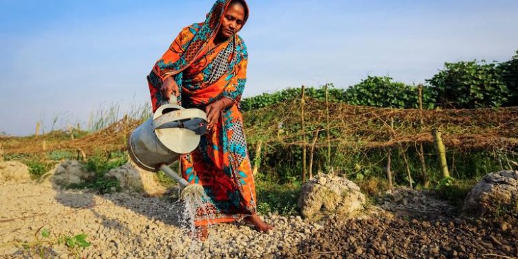 ‘Clock is ticking’: Hormuz disruption raises fears of global food crisis