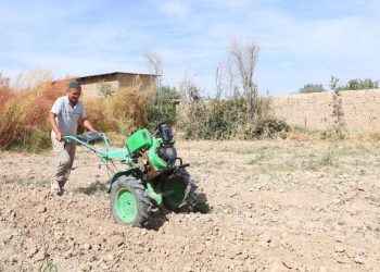 Extreme heat pushing global food systems to the brink, UN agencies warn