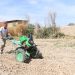 Extreme heat pushing global food systems to the brink, UN agencies warn