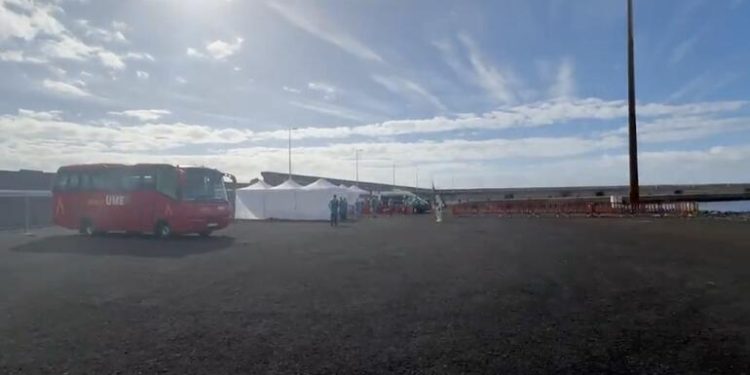 Passengers leave hantavirus-hit cruise ship in Tenerife as WHO says outbreak ‘not another COVID’