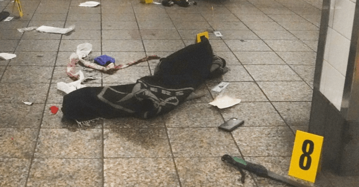 Video of NYC police killing machete-wielding man at Grand Central station released – National