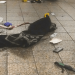 Video of NYC police killing machete-wielding man at Grand Central station released – National