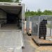 Marineland’s bears begin journey to Colorado sanctuary